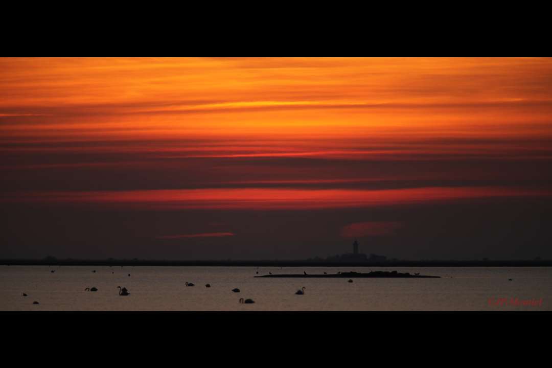 Paysage Paysage